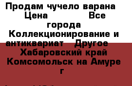 Продам чучело варана. › Цена ­ 15 000 - Все города Коллекционирование и антиквариат » Другое   . Хабаровский край,Комсомольск-на-Амуре г.